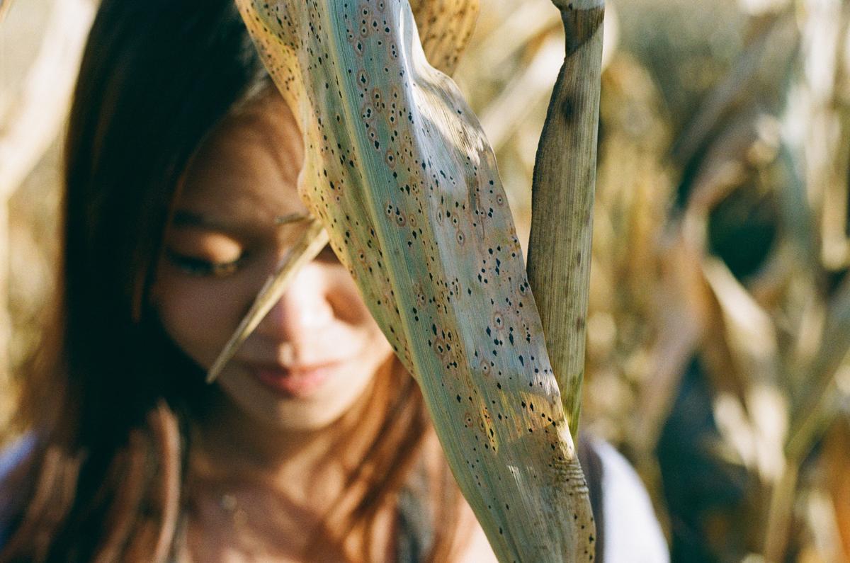 Photography jp1