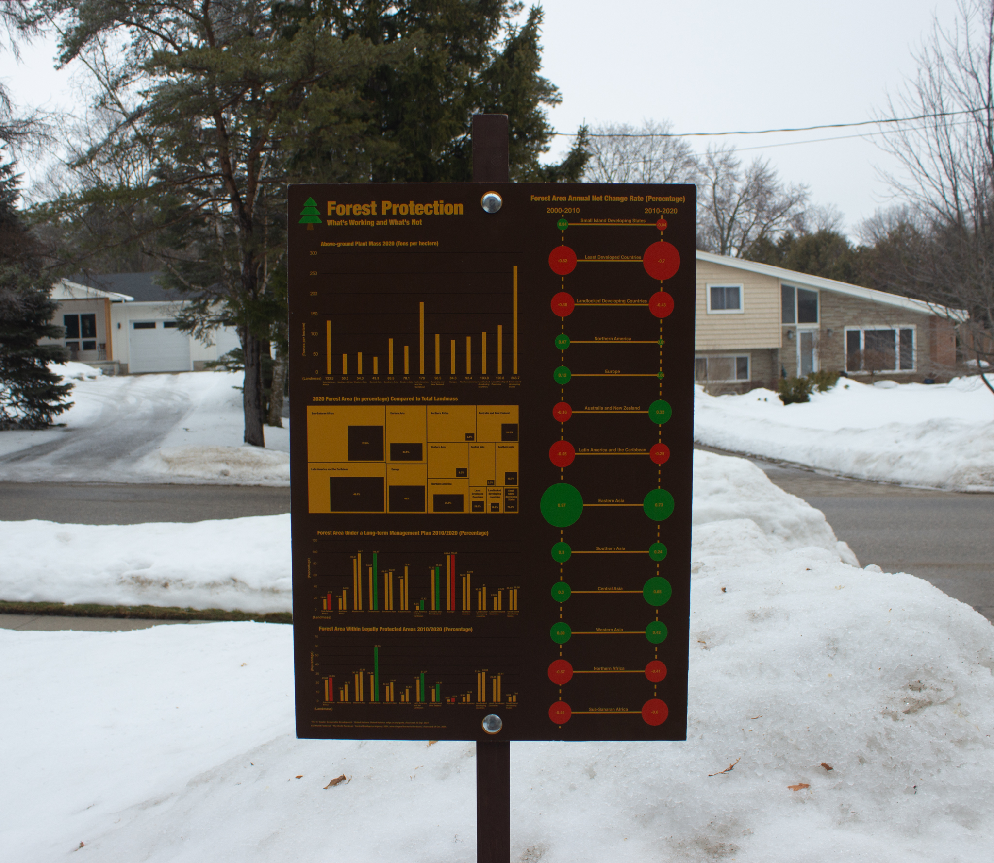 Forest Protection detail 2