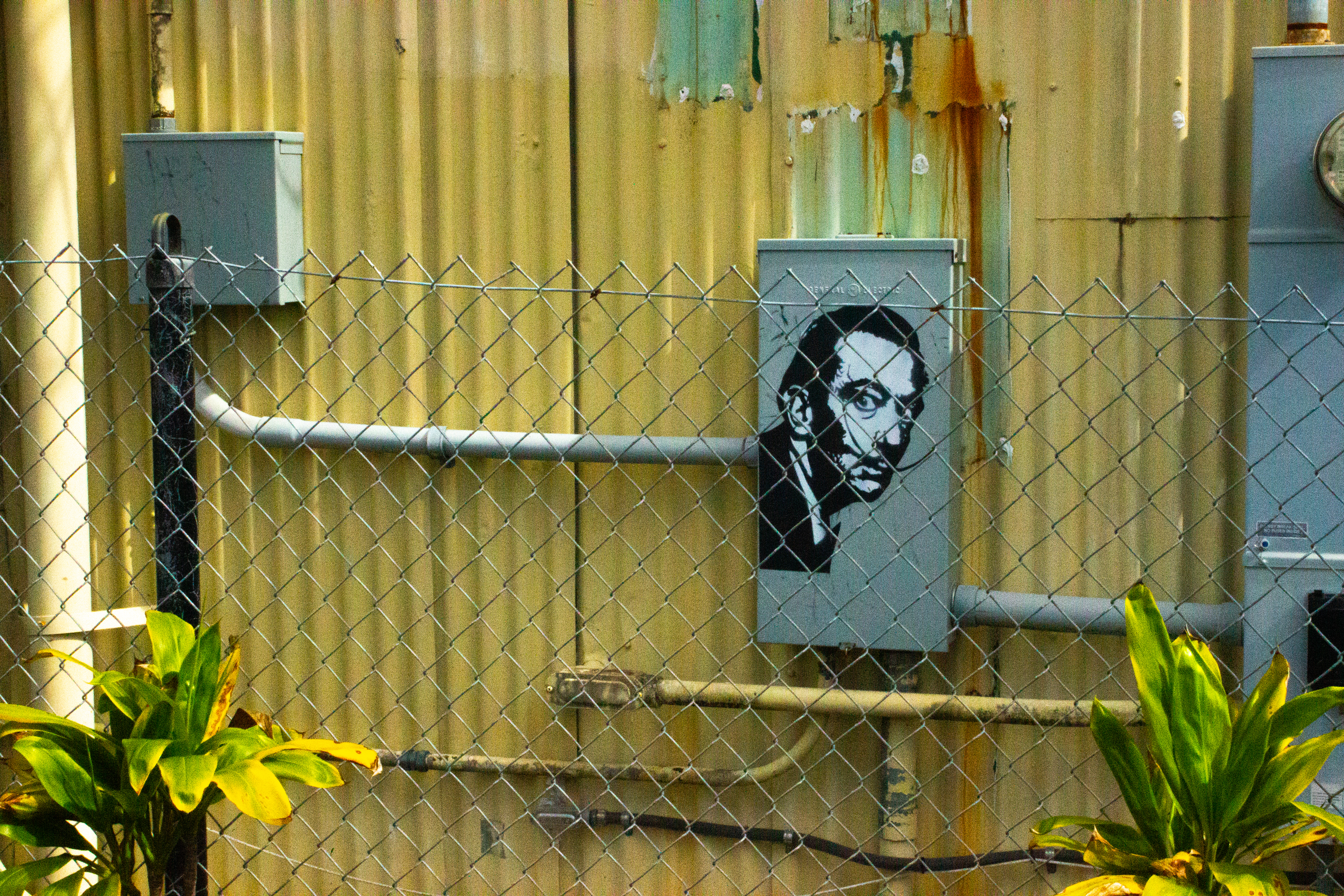 Photography haiwaii-1-424