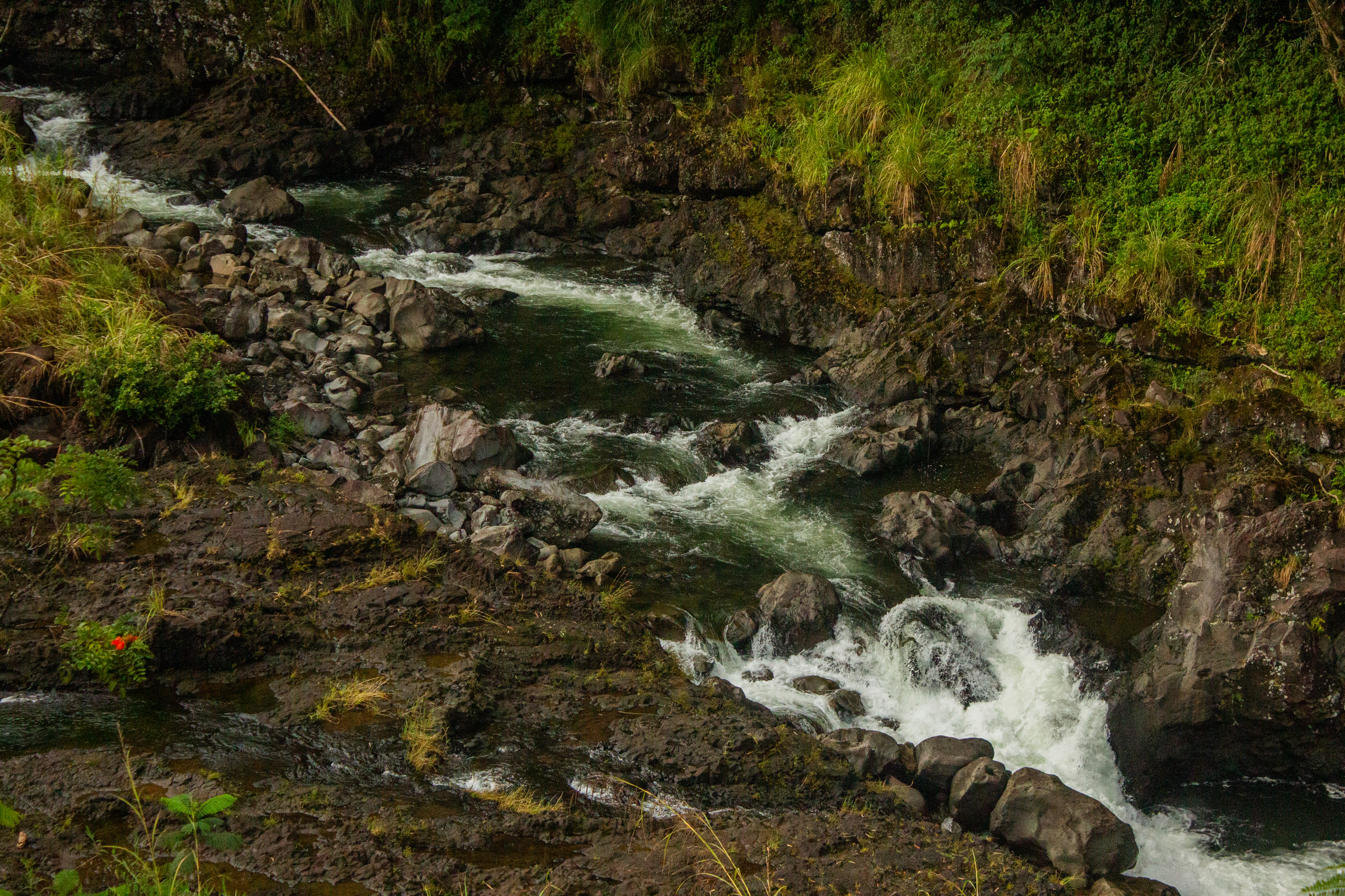 Photography haiwaii-1-426