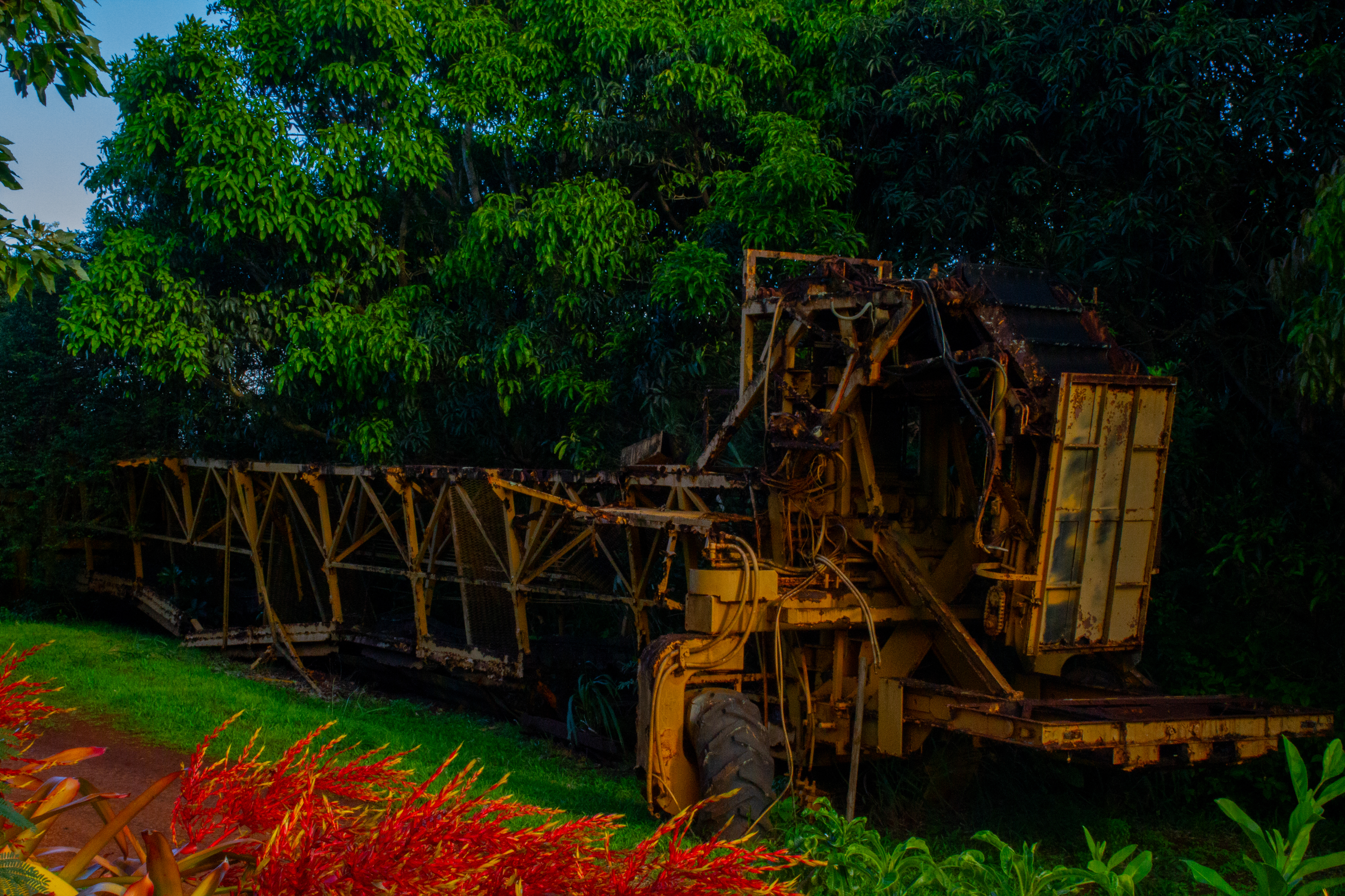 Photography haiwaii-1-428